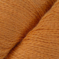 Apricot (16)