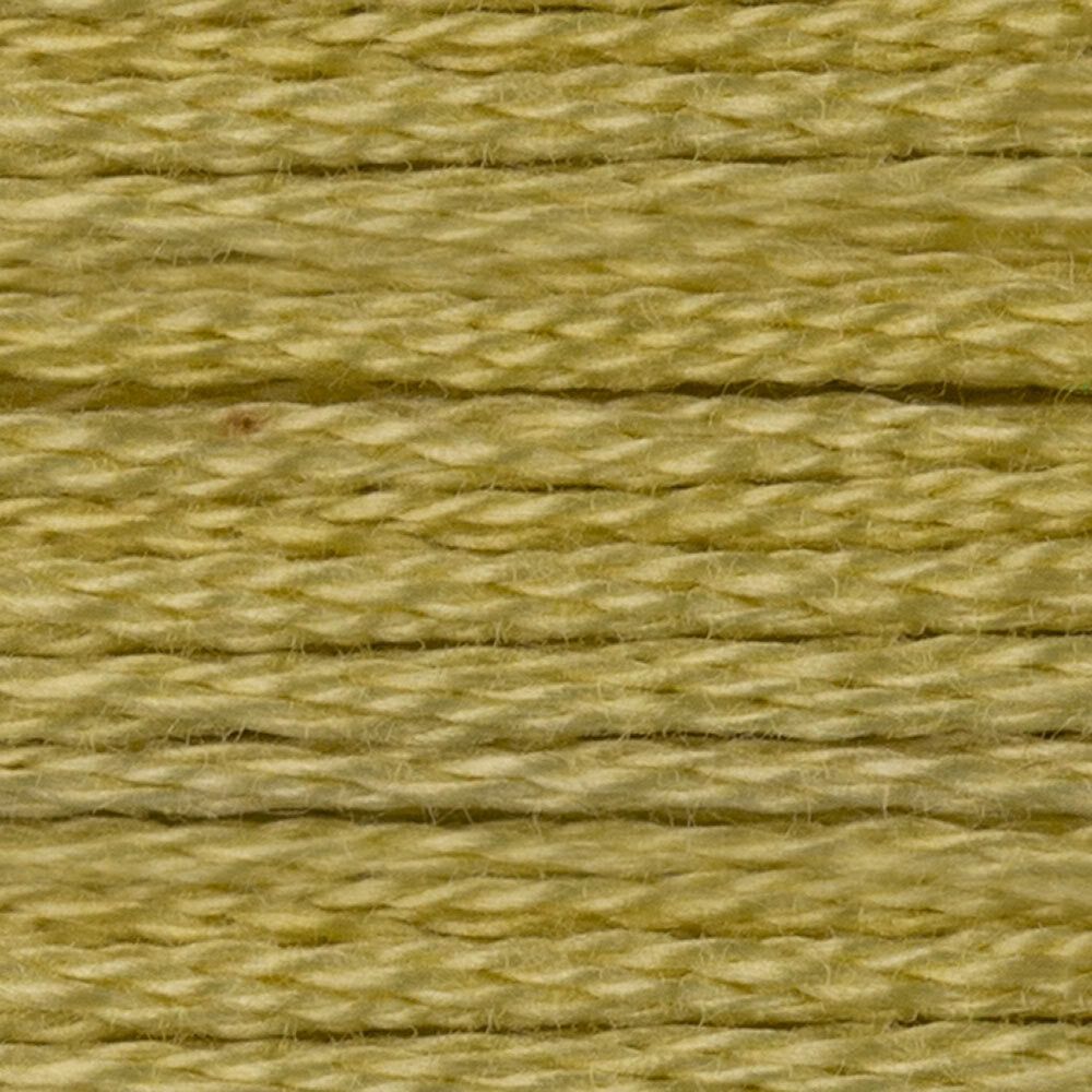 DMC Stranded Cotton - Warm Shades