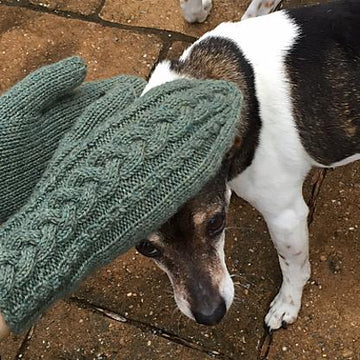 Cabled Mittens