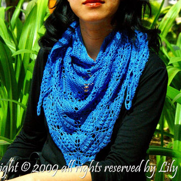 Garden Path Shawl
