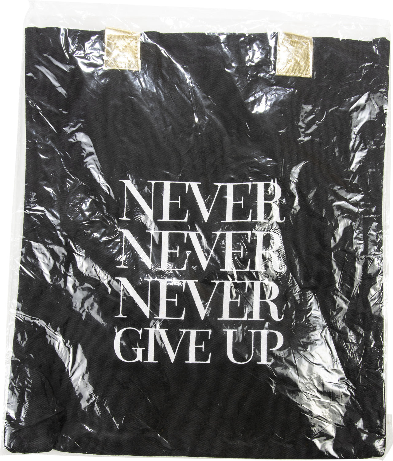 Teresa Collins Totebag 16"X13" - Never Never Never Give Up