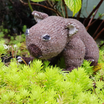Australian Wombat