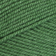 Forest (3380)