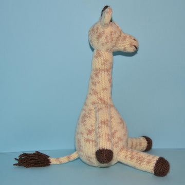 Jason The Giraffe