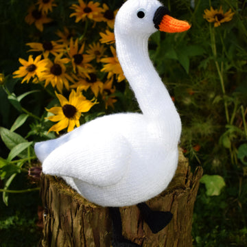 Yvonne the Swan