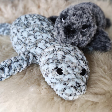 Henry the Harbour Seal