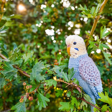 Pearl the Budgie