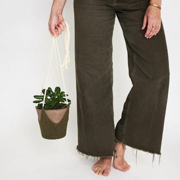 Perennial Plant Hanger