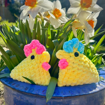 Sally The Spring Chicken