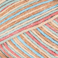 Light Blue Brown (016)