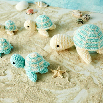 Sea Turtles