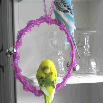 Parakeet Perchswing