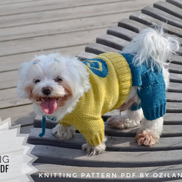 Minion jumpsuit for dog