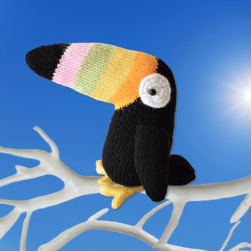 Tommy Toucan