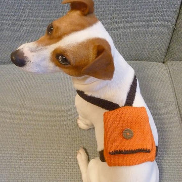 Dog Backpack