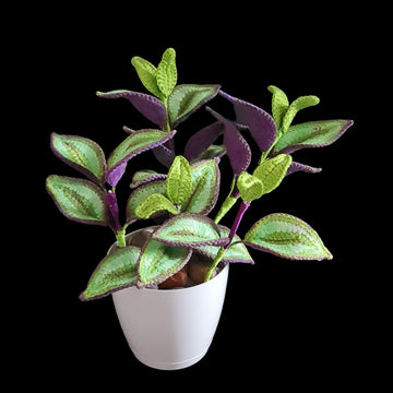 Crochet Tradescantia Zebrina plant