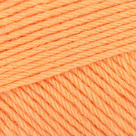 Melon Sorbet (1216)