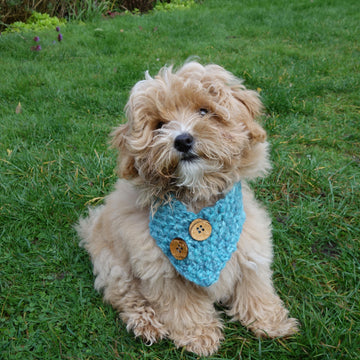 Dog Buttoned Cowl