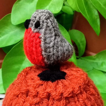 Garden Robin Flowerpot - Chocolate Orange Cover