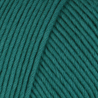 Teal (#1070)