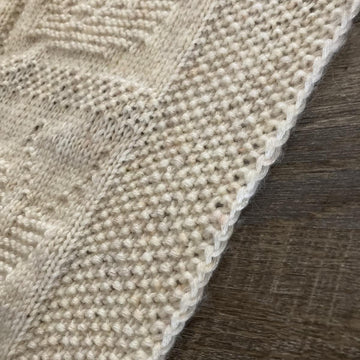Marking Its Trail Snail Blanket