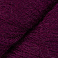 Raspberry (21)