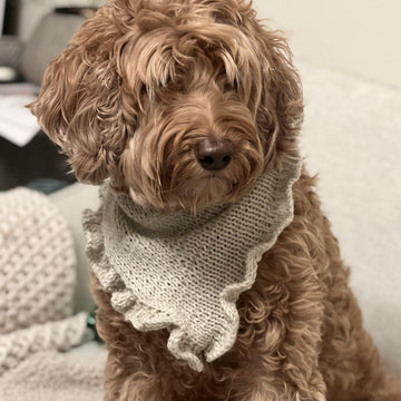 Ruffle Bandana