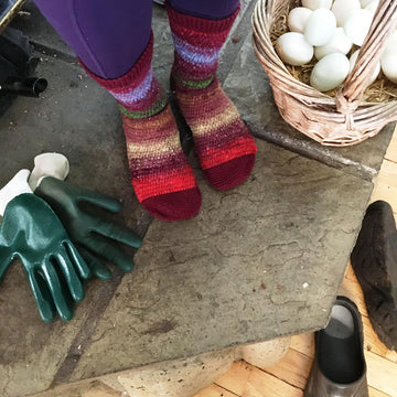 Farmer's Favorite Socks