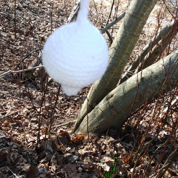 Tulip Guard Experiment – a polite but firm message to the deer: “These tulips are not on the menu!”