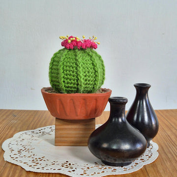 Ball cactus with flower