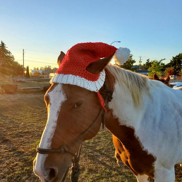 Horse Santa Hat