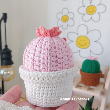 Cactus pin cushion with storage box