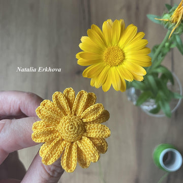Calendula