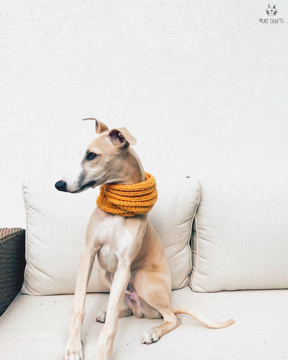 Doggo no 4 scarf