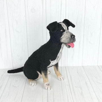 Pit Bull mix
