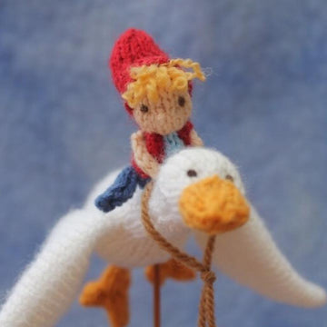 The Boy On the Goose