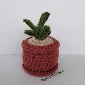 Little Lovely Succulents