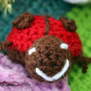 Two Little Ladybirds