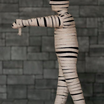 Egyptian Mummy