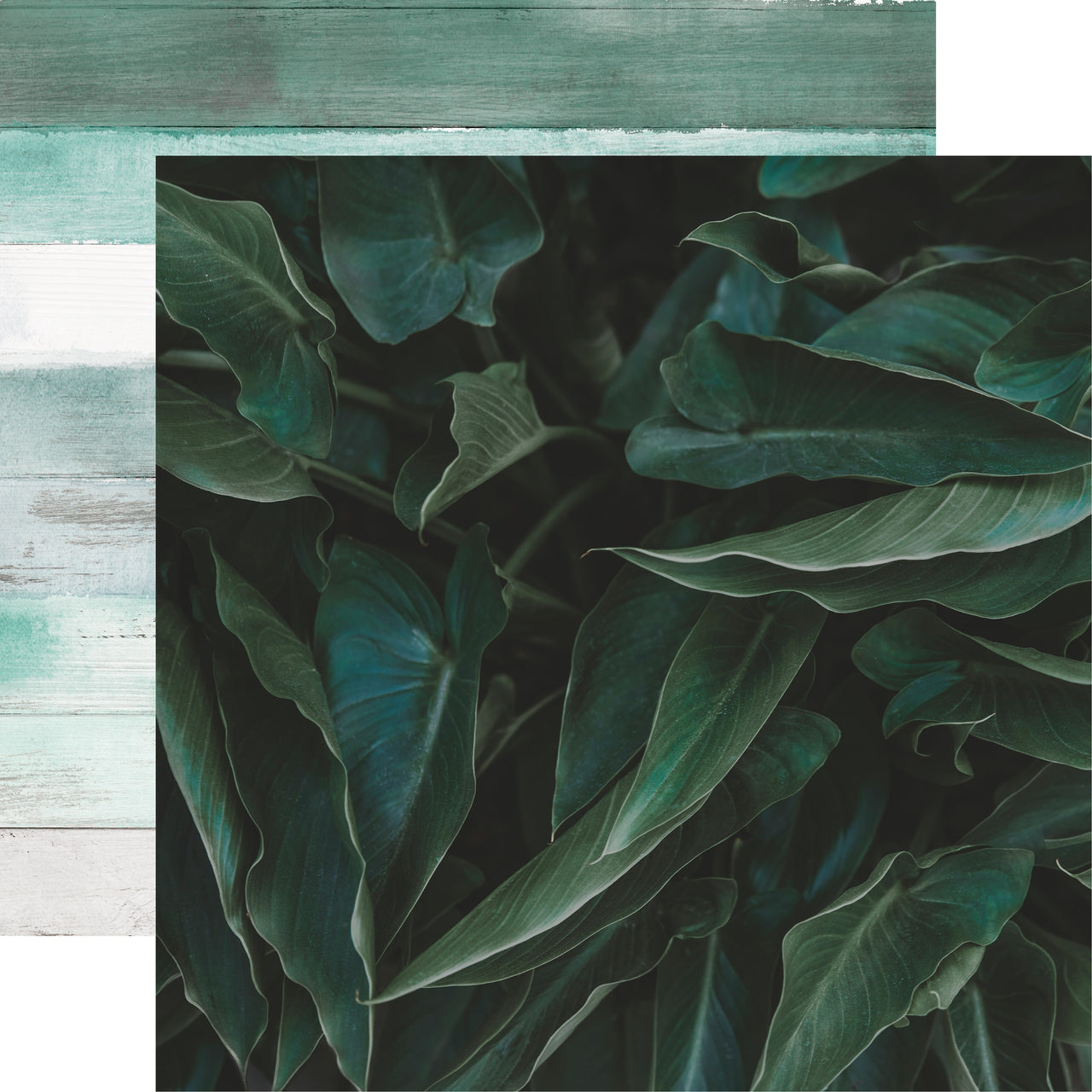 Kaisercraft Lily & Moss Double-Sided Cardstock 12"X12" 10/Pkg - Ombre