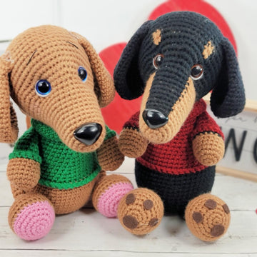 Dachshund
