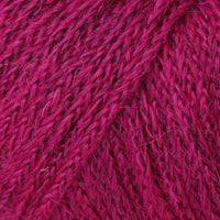 Fuchsia Meliert (38)