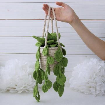 Knitted Pothos Hanging Plant