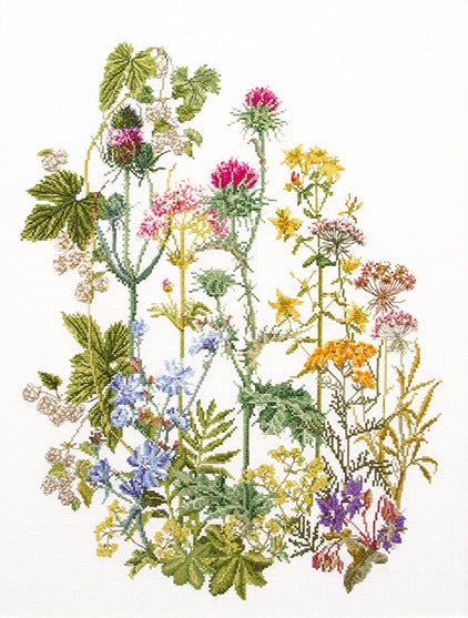 Thea Gouverneur Bv Wildflowers Cross Stitch Kit - 35cm x 46cm