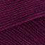 Fuchsia (00128)