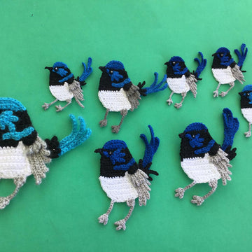 Blue Wren