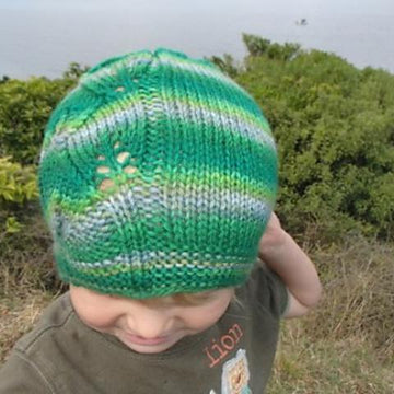 Ngahere Beanie (10ply)
