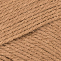 Apple Cinnamon (42)