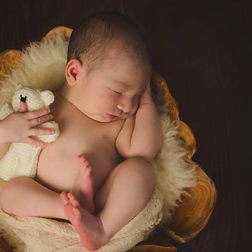 Baby Bear