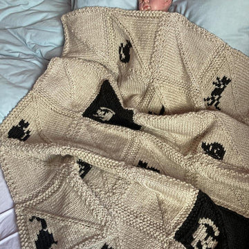 Black Cats on a Blanket